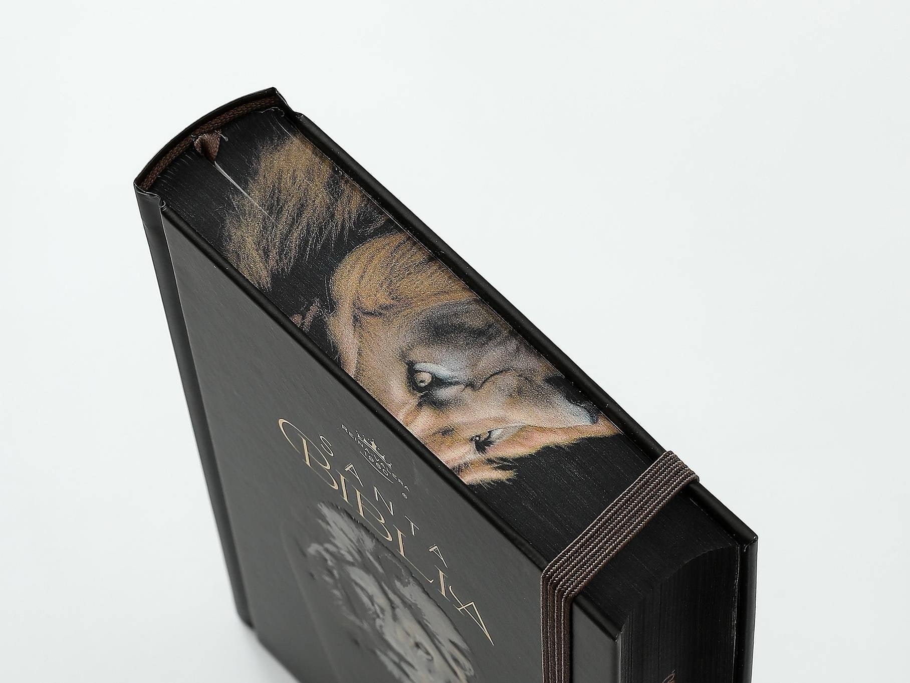 Biblia RVR60 Tamaño manual LEtra GRande TApa dura león
