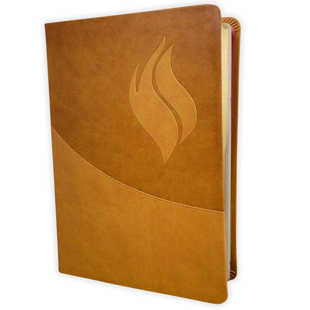 Biblia de Estudio de la Vida Plena RV1960, imit piel marrón