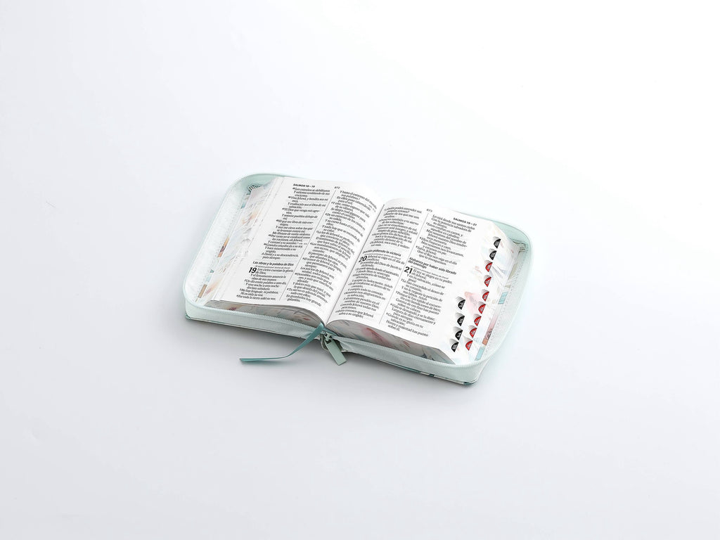 Biblia RVR60 Tamaño compacto Letra Grande 12 puntos