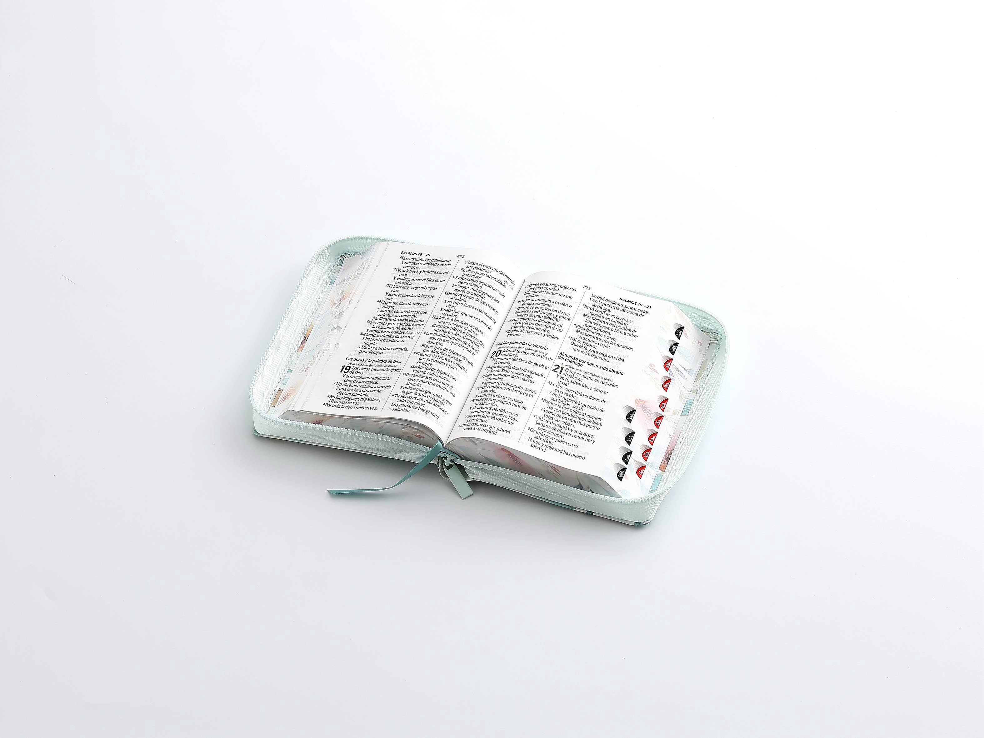 Biblia RVR60 Tamaño compacto Letra Grande 12 puntos