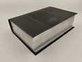 Biblia NTV de Estudio Diario Vivir Letra Grande Símil Piel Negro