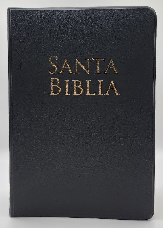 BIBLIA RVR1960 LETRA GRANDE TAMAÑO MANUAL