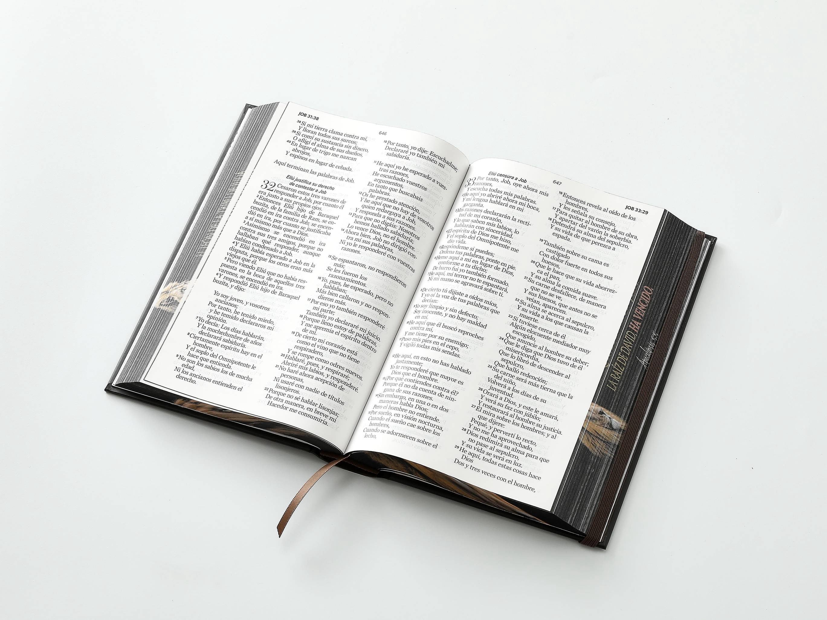 Biblia RVR60 Tamaño manual LEtra GRande TApa dura león