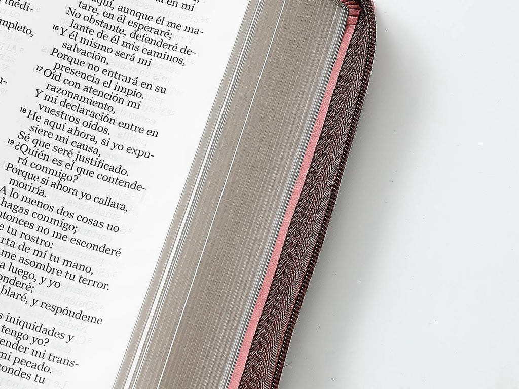 Biblia RVR60 tamaño manual letra Gigante Café rosa