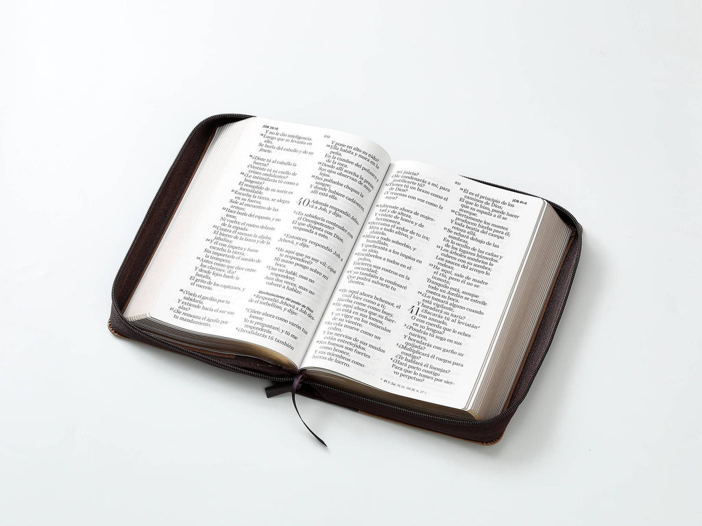 Biblia RVR60 tamaño manual letra Gigante Café