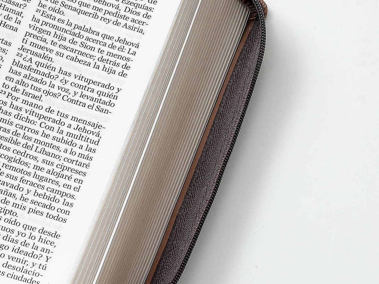 Biblia RVR60 tamaño manual letra Gigante Café