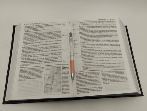 Biblia NTV de Estudio Diario Vivir Letra Grande Símil Piel Negro