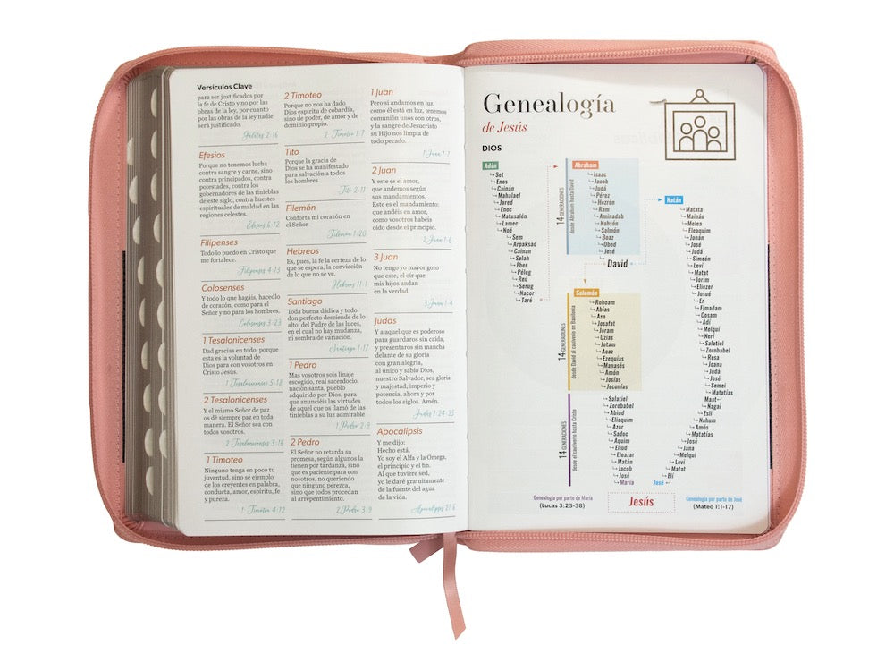 Biblia RVR60 Tamaño Manual Letra Grande