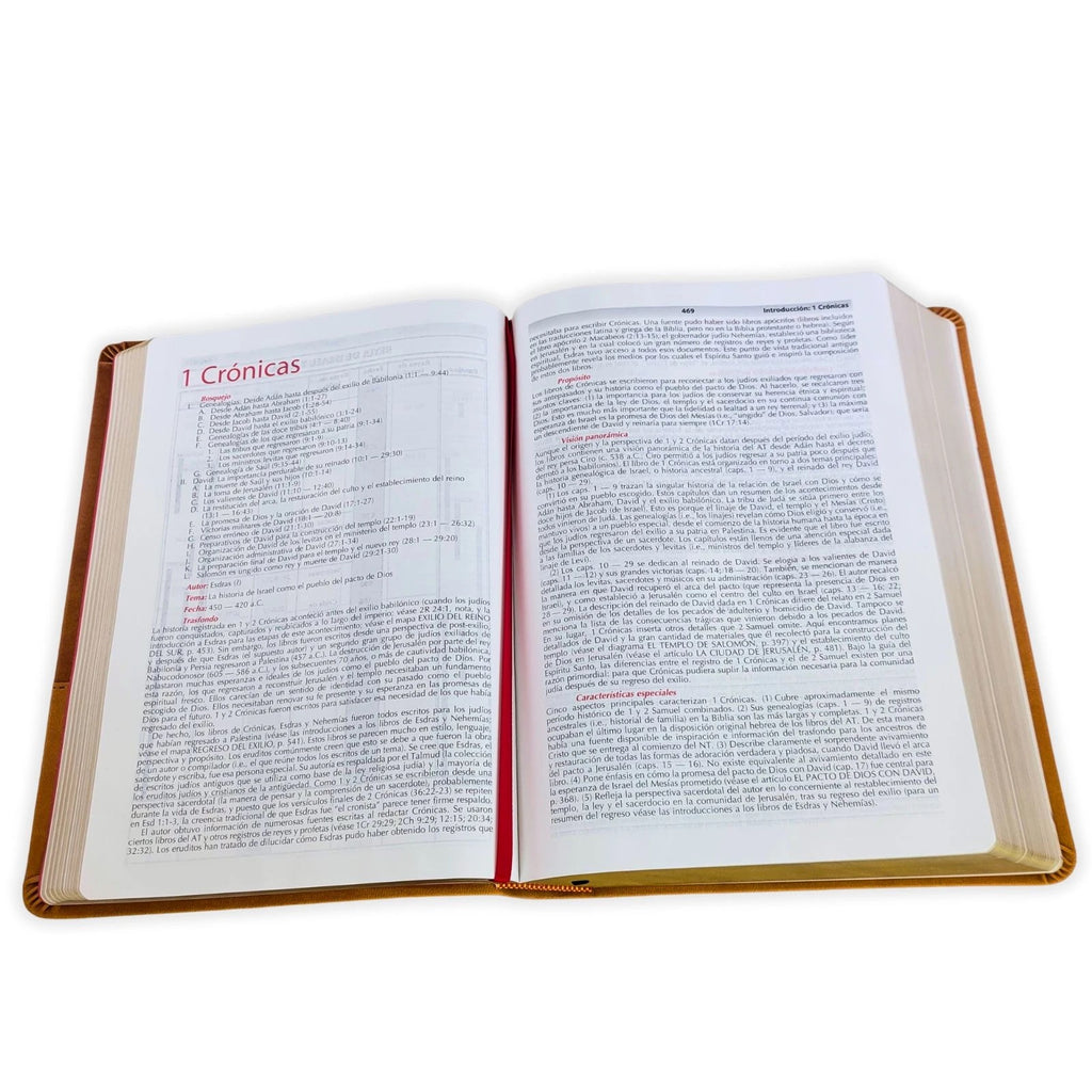 Biblia de Estudio de la Vida Plena RV1960, imit piel marrón