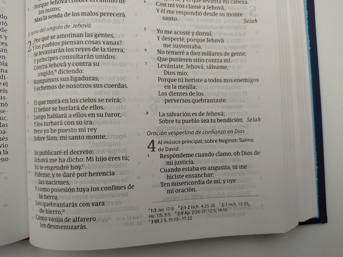 Biblia RVR 1960 Ultrafina Azul Bordado sobre Tela