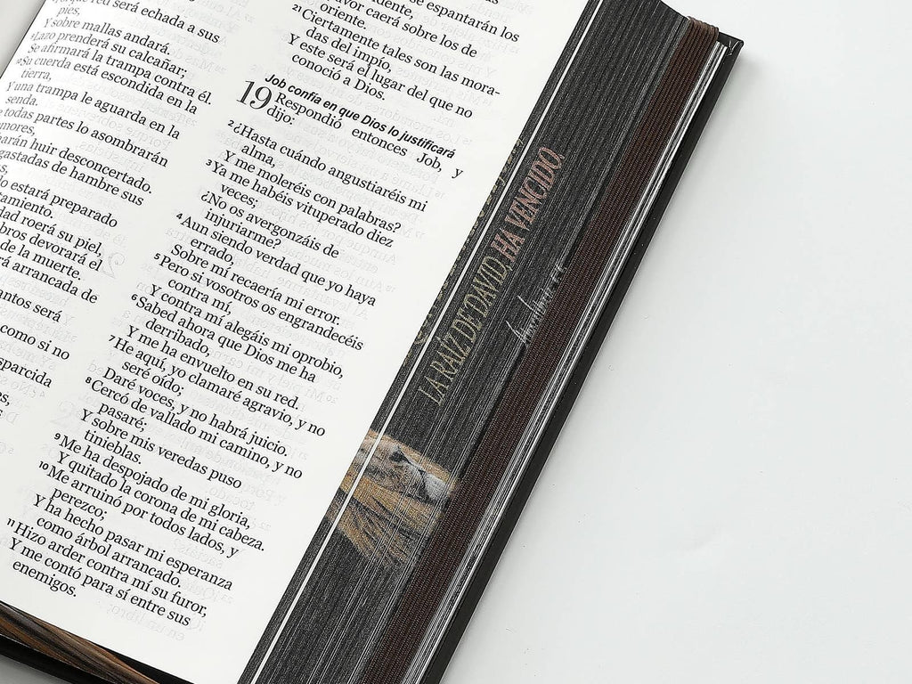Biblia RVR60 Tamaño manual LEtra GRande TApa dura león
