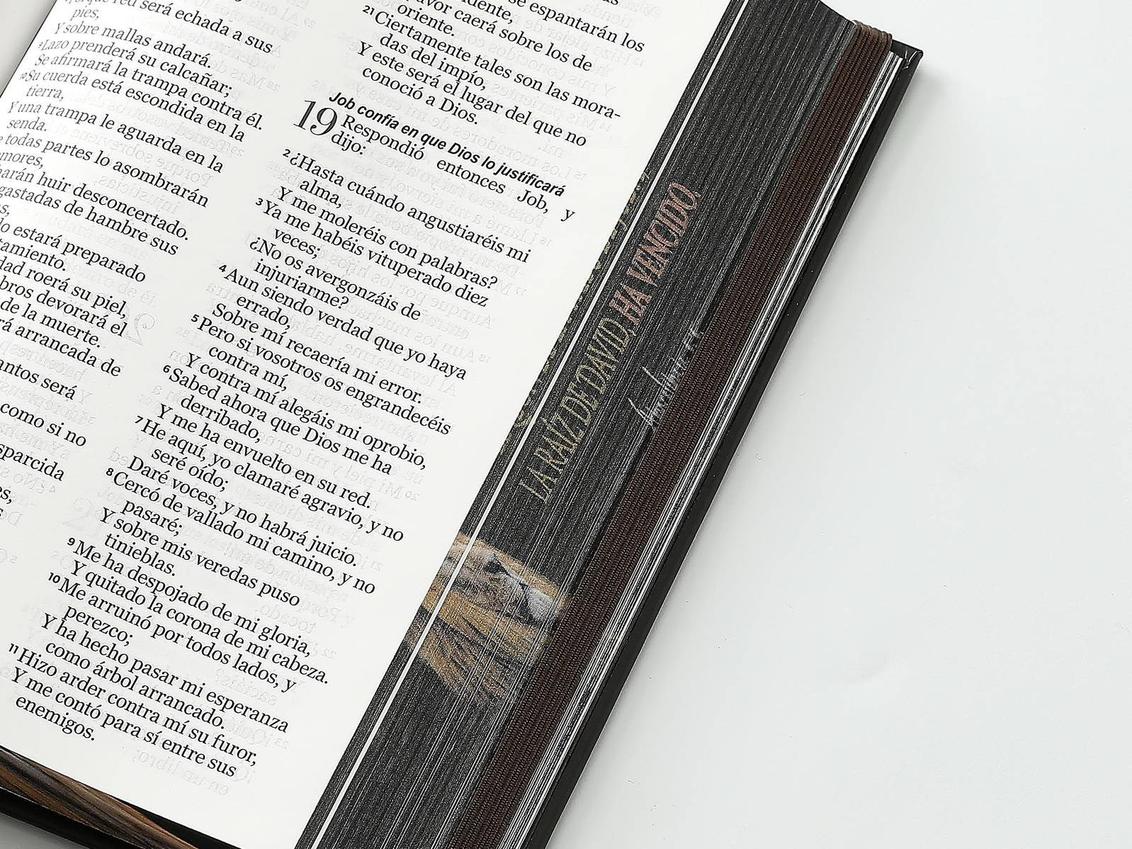 Biblia RVR60 Tamaño manual LEtra GRande TApa dura león