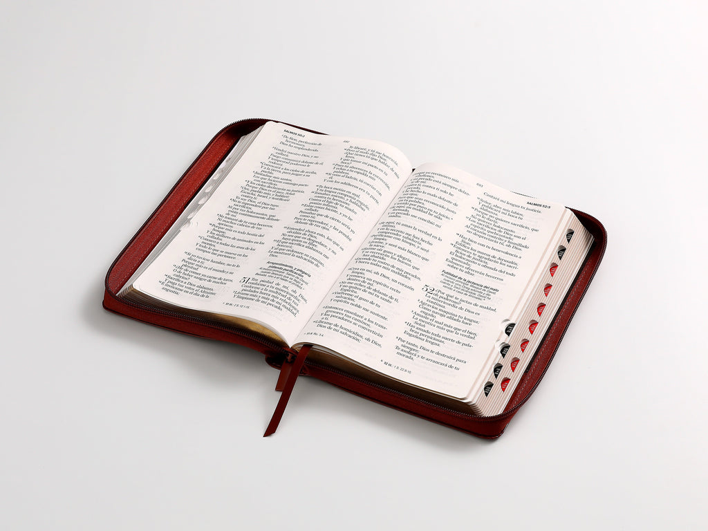 Biblia RVR60 Tamaño Manual Letra Grande marrón cierre indice