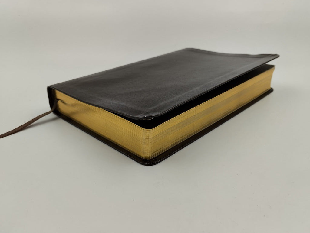 Biblia RVR 1960 de Estudio Scofield Tamaño Personal similar piel