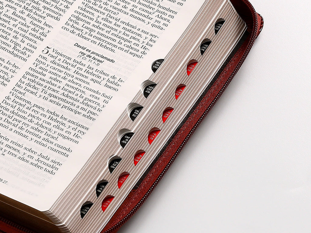 Biblia RVR60 Tamaño Manual Letra Grande marrón cierre indice