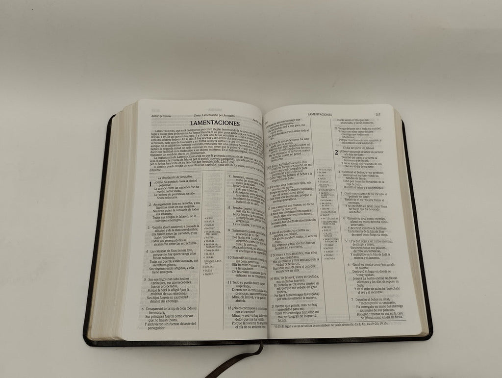 Biblia RVR 1960 de Estudio Scofield Tamaño Personal similar piel