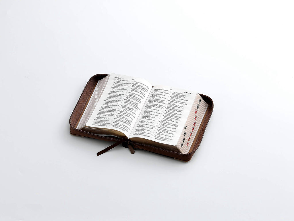 Biblia RVR60 Tamaño compacto Letra Grande 12 puntos aguila