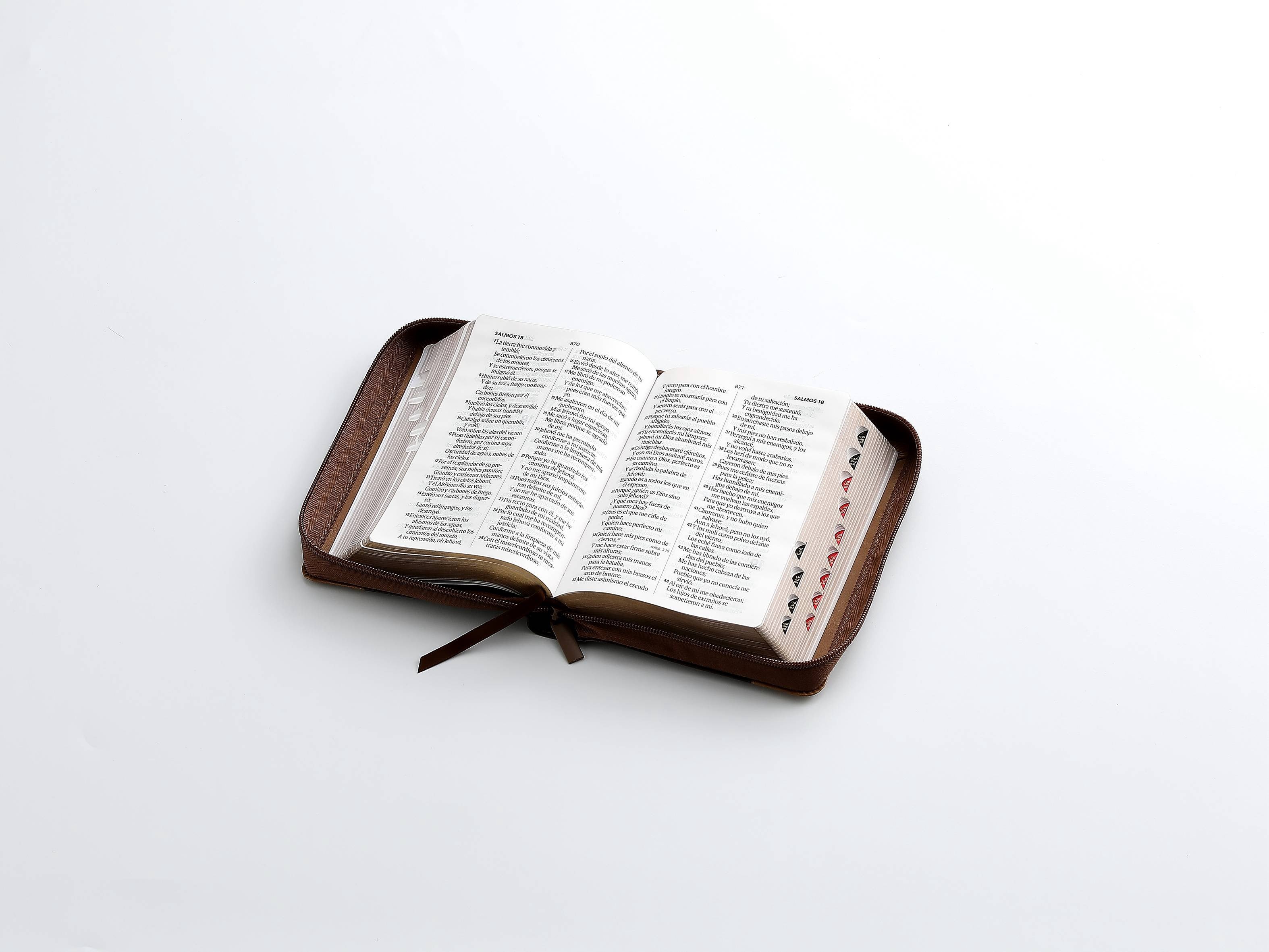 Biblia RVR60 Tamaño compacto Letra Grande 12 puntos aguila