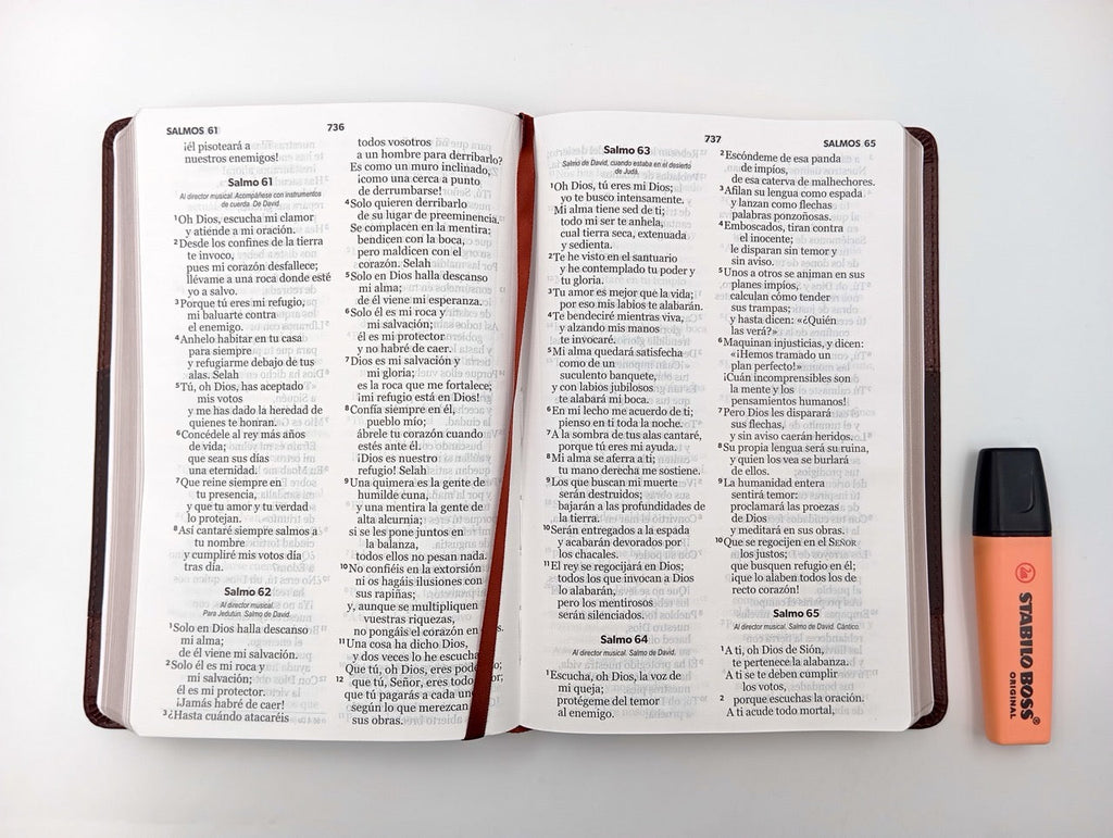 Biblia NVI Peninsular Tamaño manual letra grande café