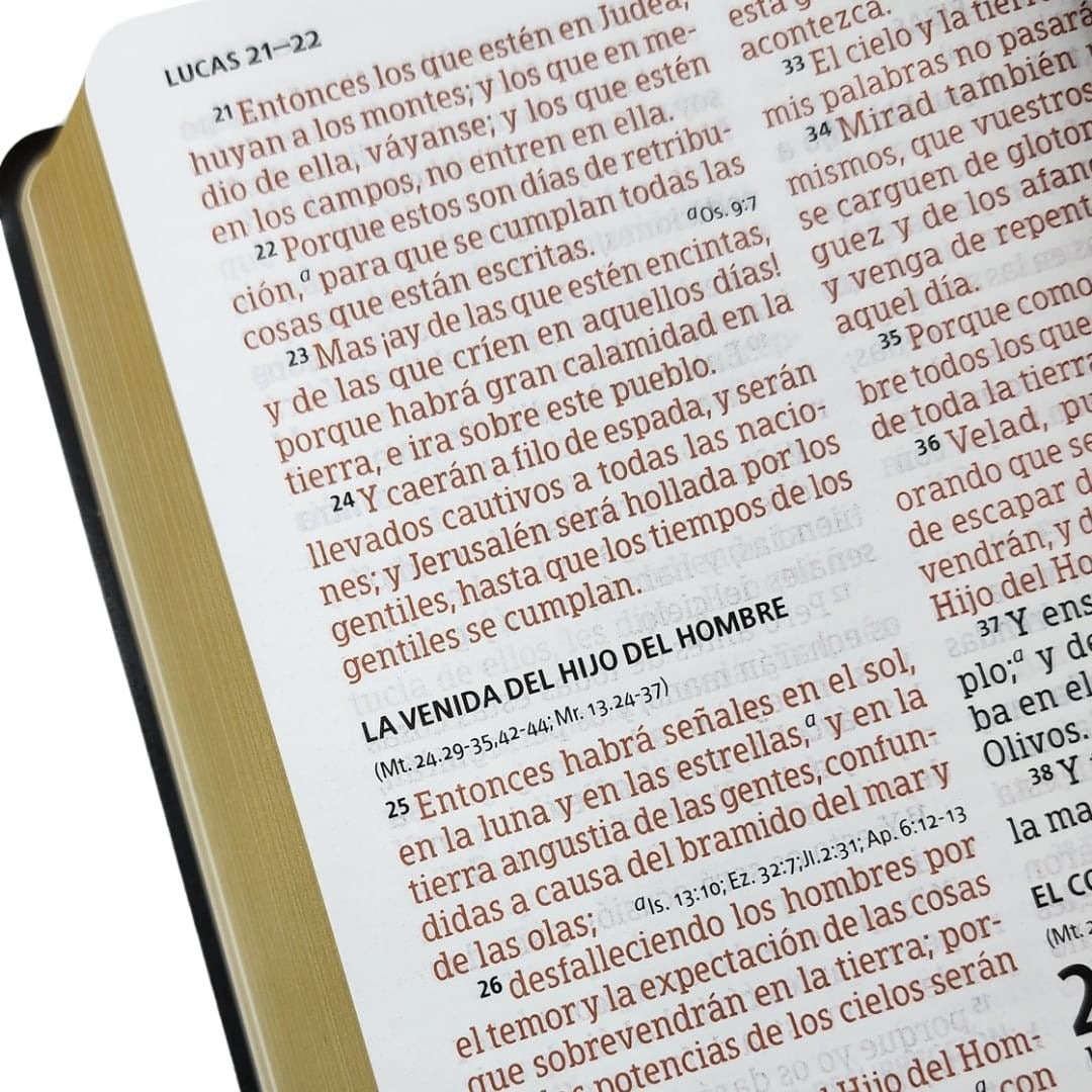 Biblia manual Letra grande rosa