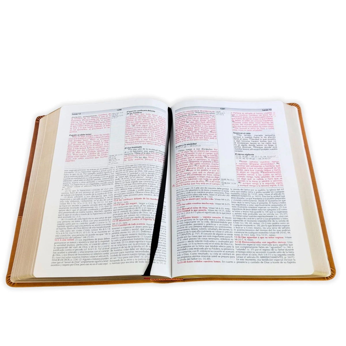 Biblia de Estudio de la Vida Plena RV1960, imit piel marrón