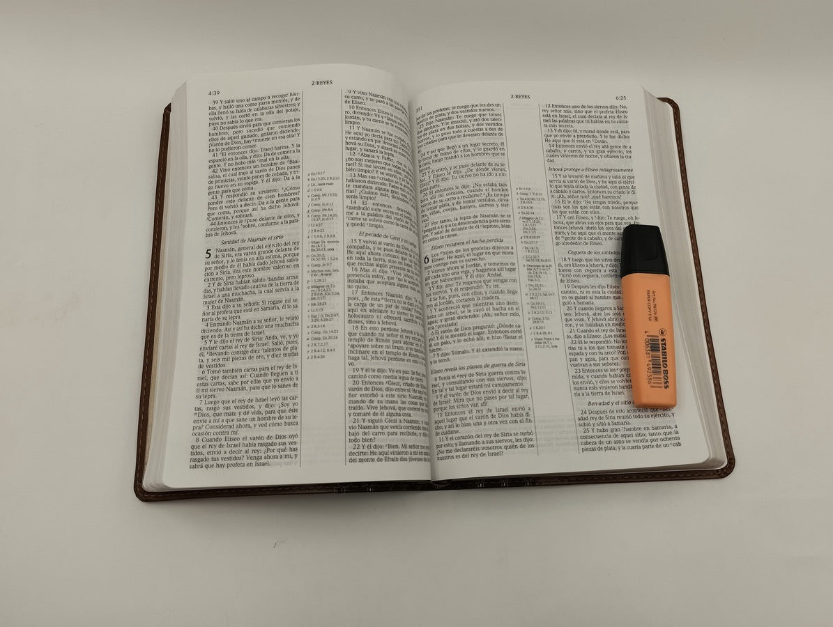 Biblia RVR 1960 de Estudio Scofield Verde Bosque Café Símil Piel