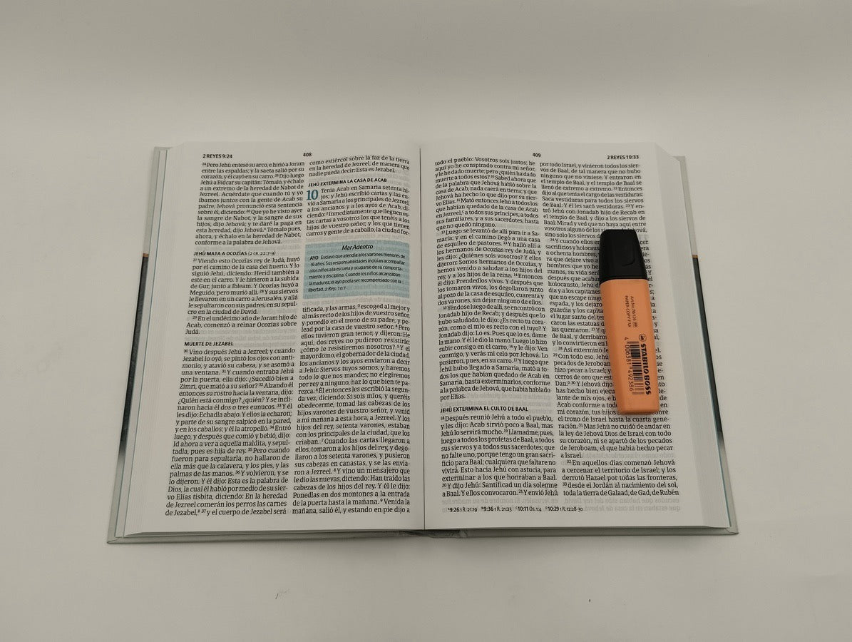 Biblia RVR 1960 del Pescador Letra Grande Tapa Dura