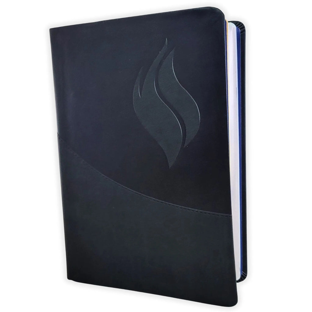 Biblia de Estudio de la Vida Plena RV1960, imit piel negro