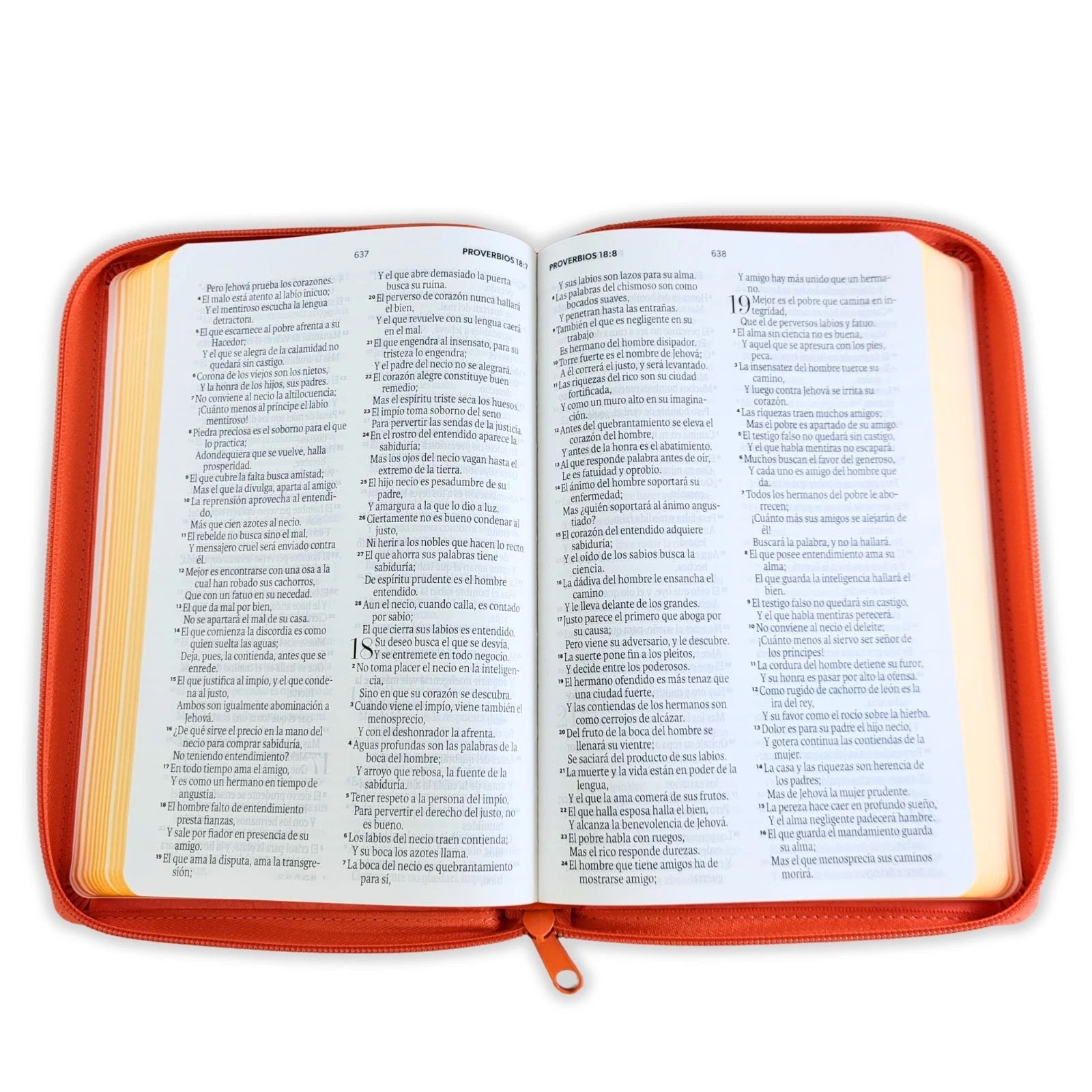 Biblia RVR60 de Obsequios y premios Coral Delicado con cierre