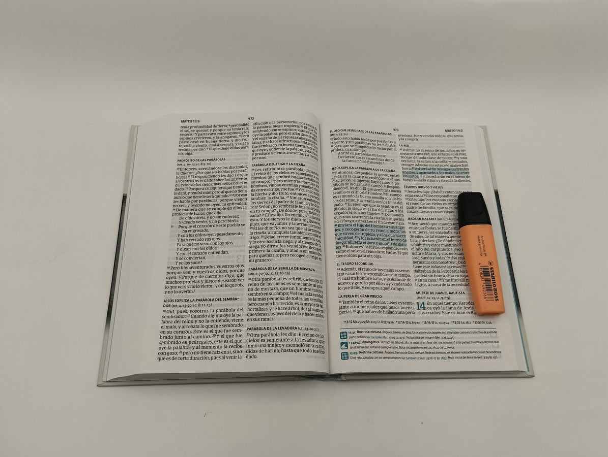 Biblia RVR 1960 del Pescador Letra Grande Tapa Dura