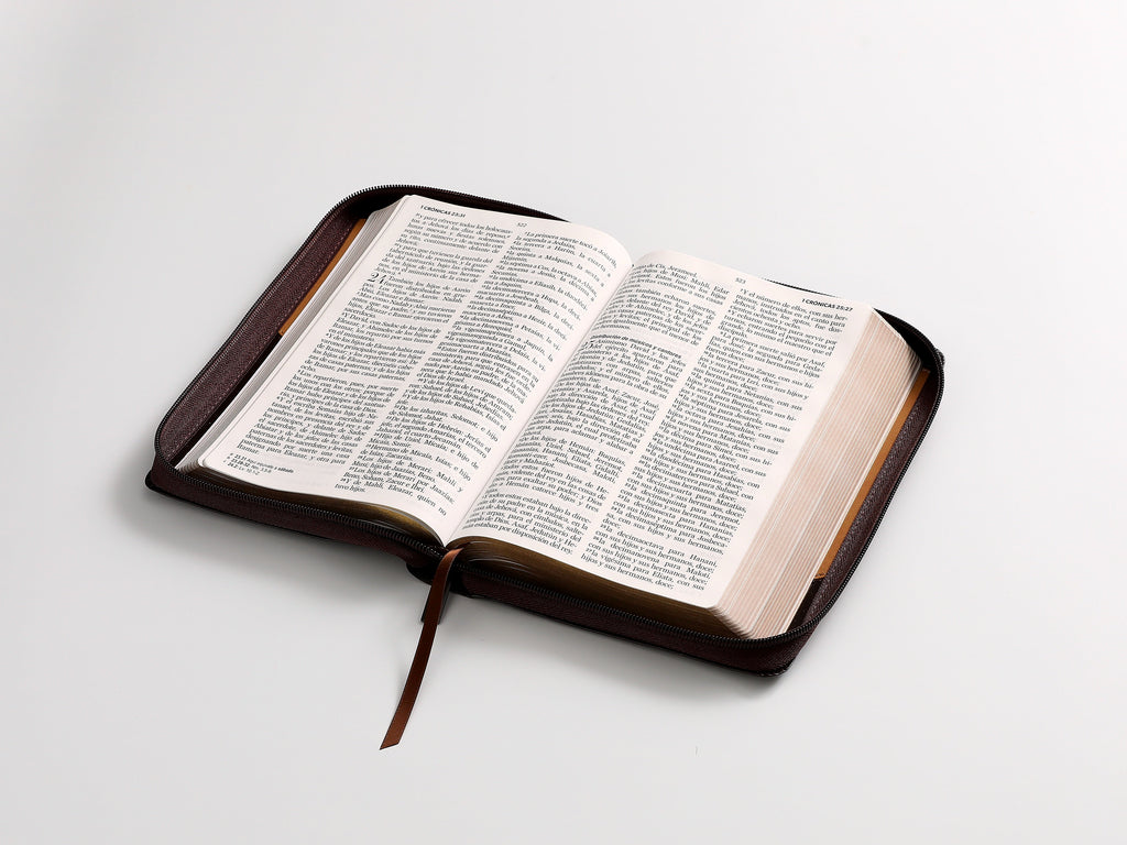 Biblia RVR60 Tamaño Manual Letra Grande café
