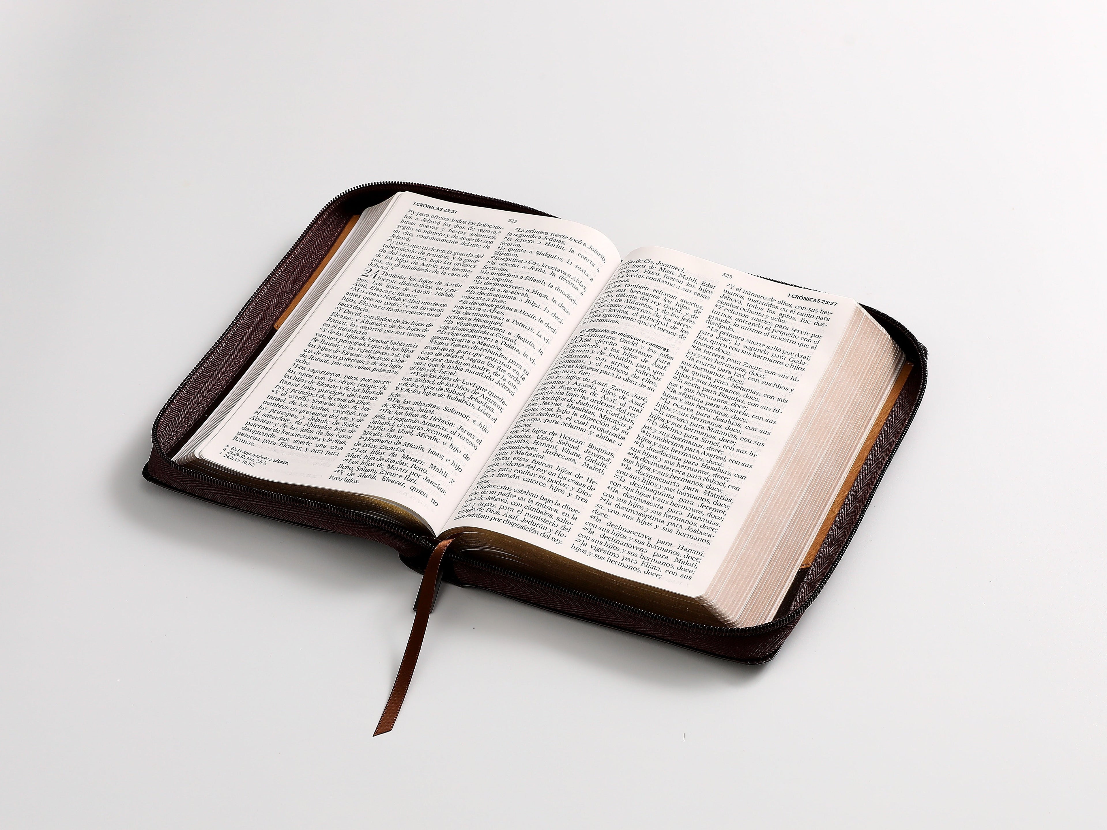 Biblia RVR60 Tamaño Manual Letra Grande café