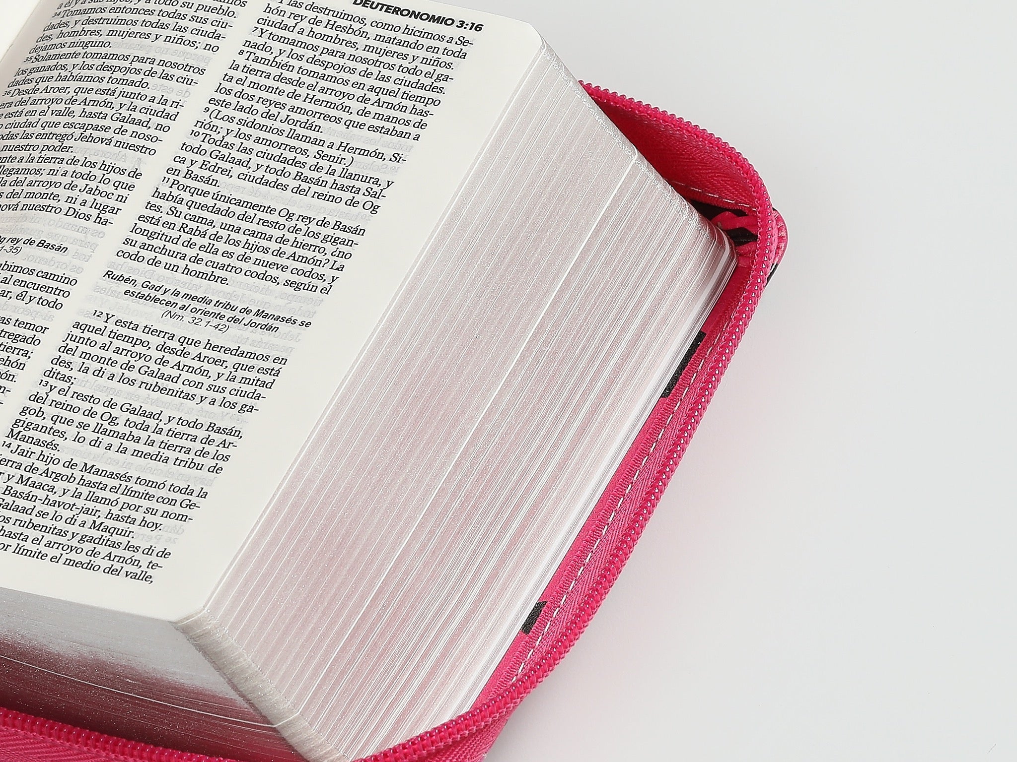 Biblia RVR60 de bolsillo Primor Fucsia