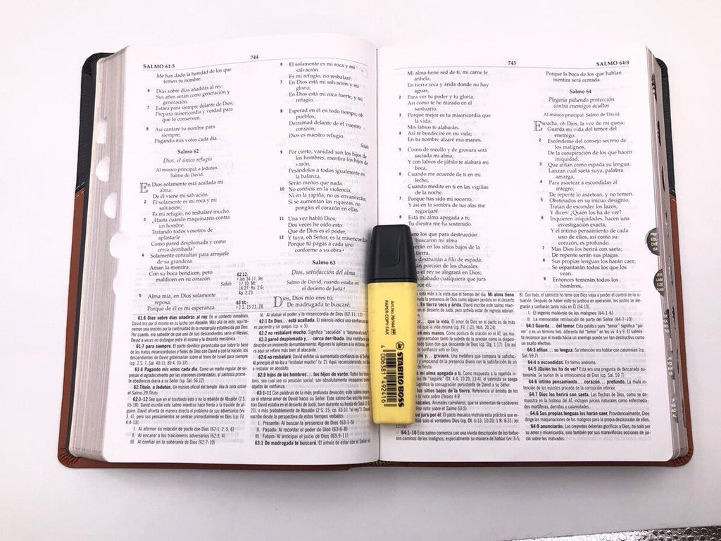 Biblia RVR 1960 de Estudio MacArthur Piel con Índice