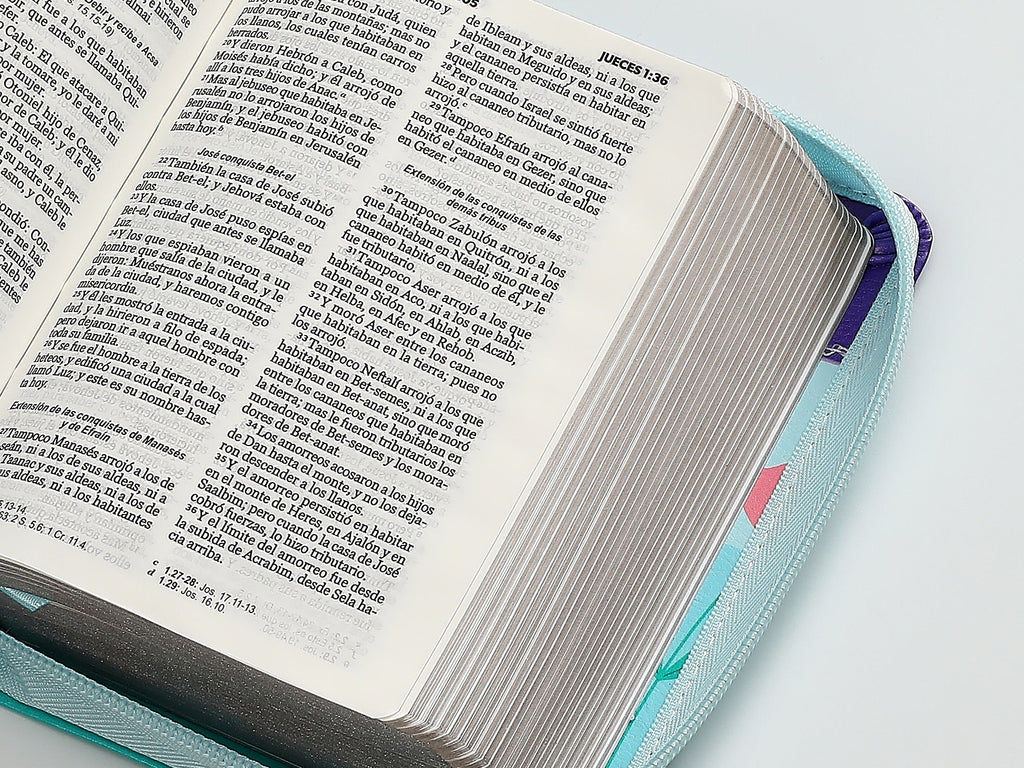 Biblia RVR60 de bolsillo Primor Lila