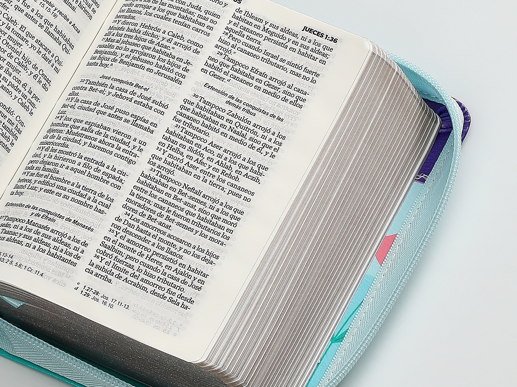 Biblia RVR60 de bolsillo Primor Lila