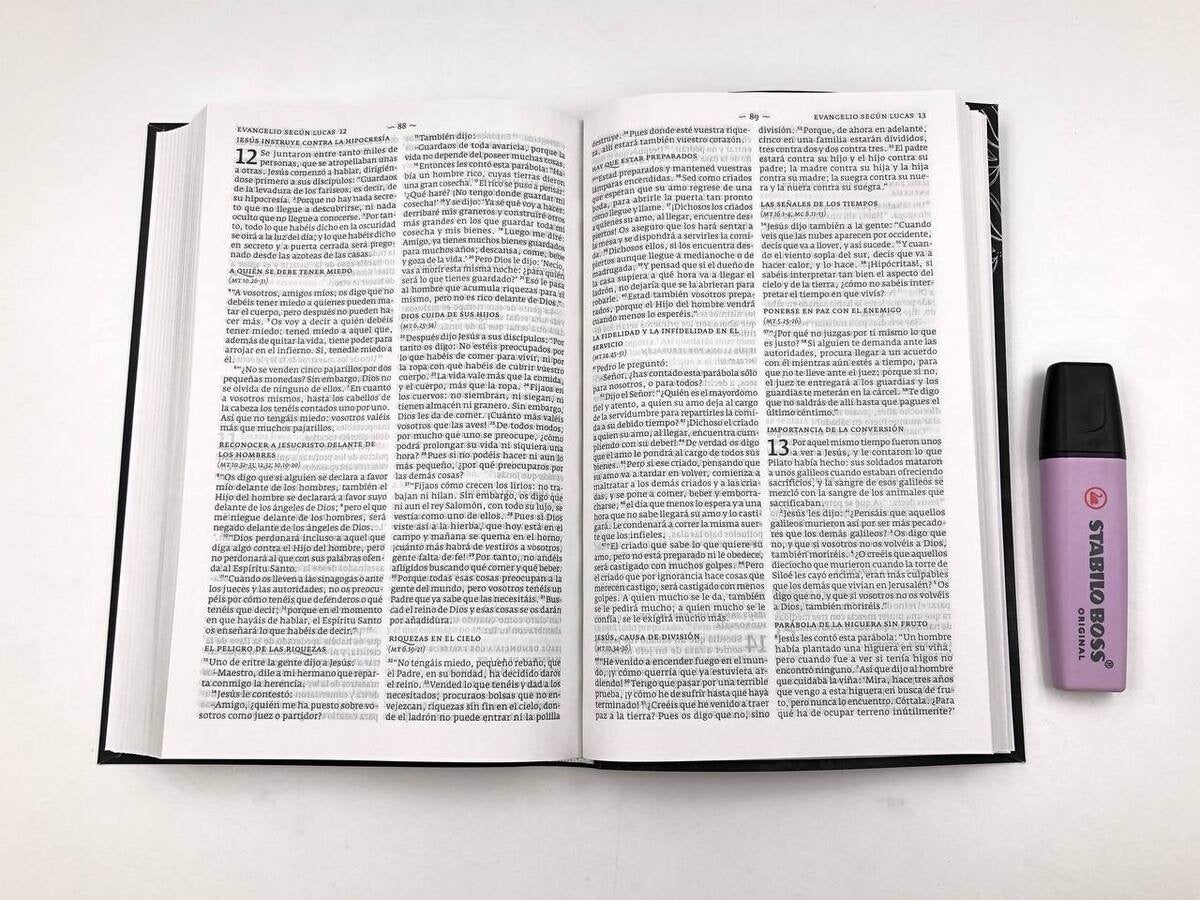 Biblia DHH tamaño Manual Pizarra