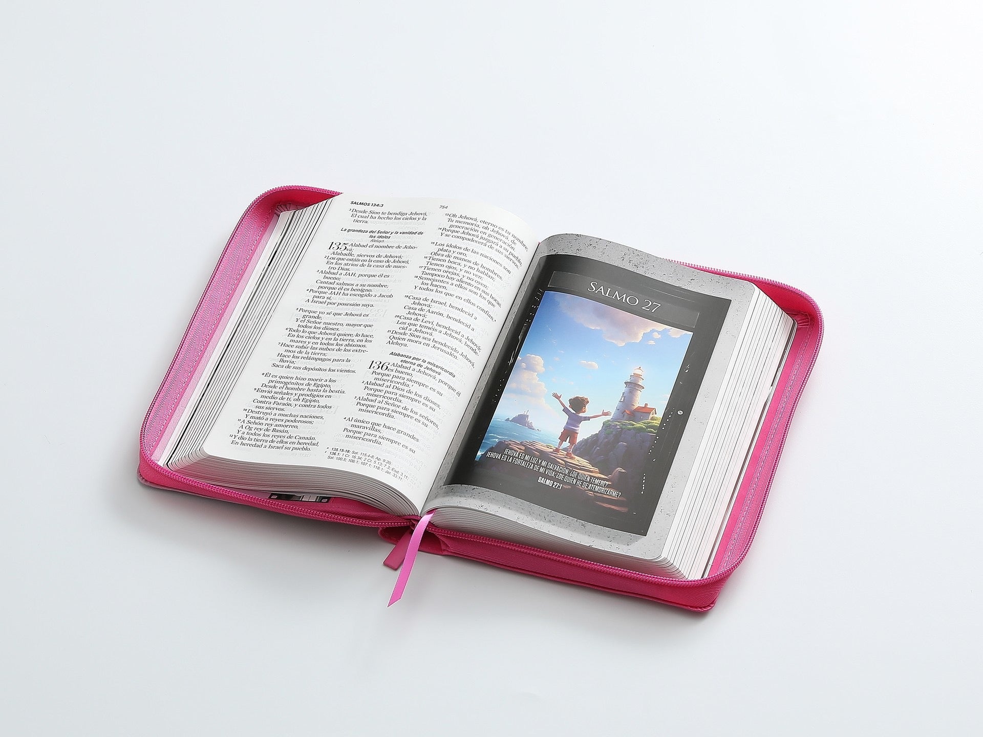 Biblia Héroes RVR60 Letra Grande rosa con cierre