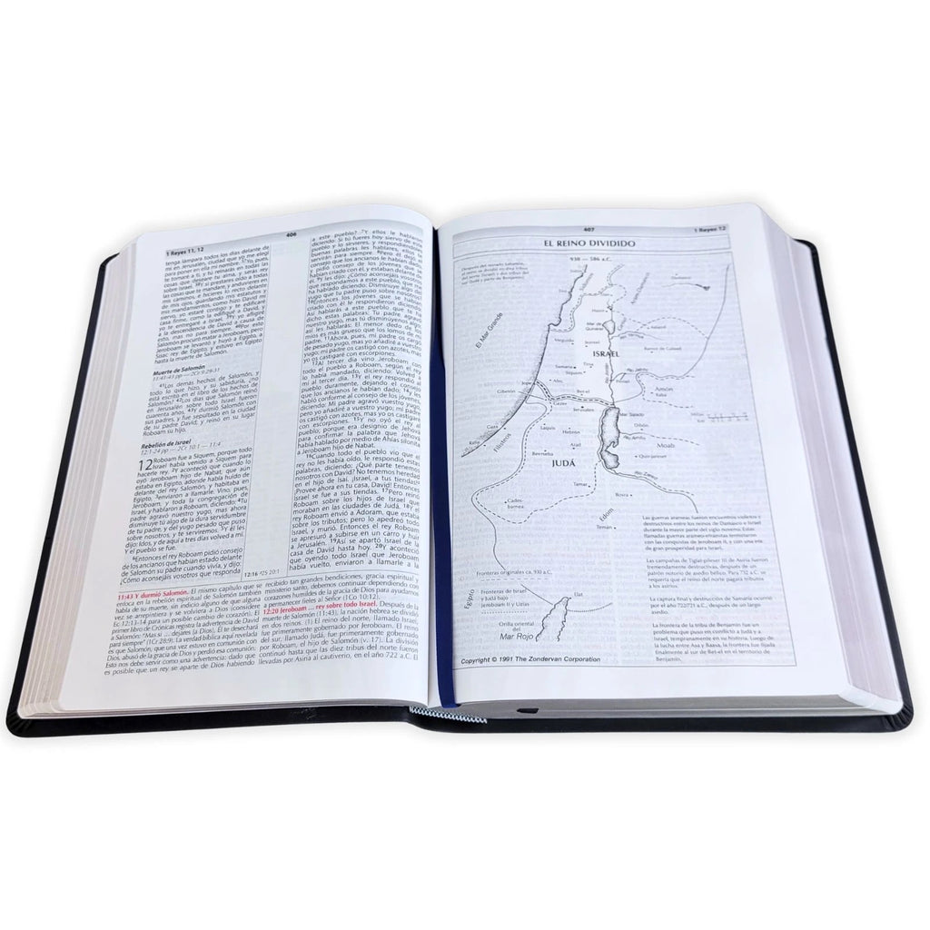 Biblia de Estudio de la Vida Plena RV1960, imit piel negro