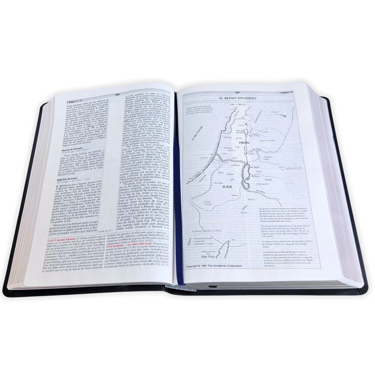 Biblia de Estudio de la Vida Plena RV1960, imit piel negro