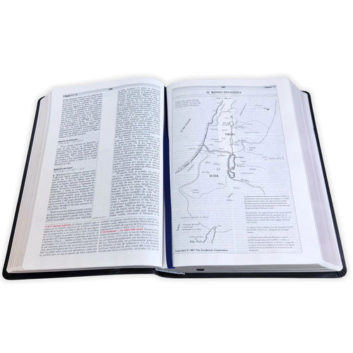 Biblia de Estudio de la Vida Plena RV1960, imit piel negro