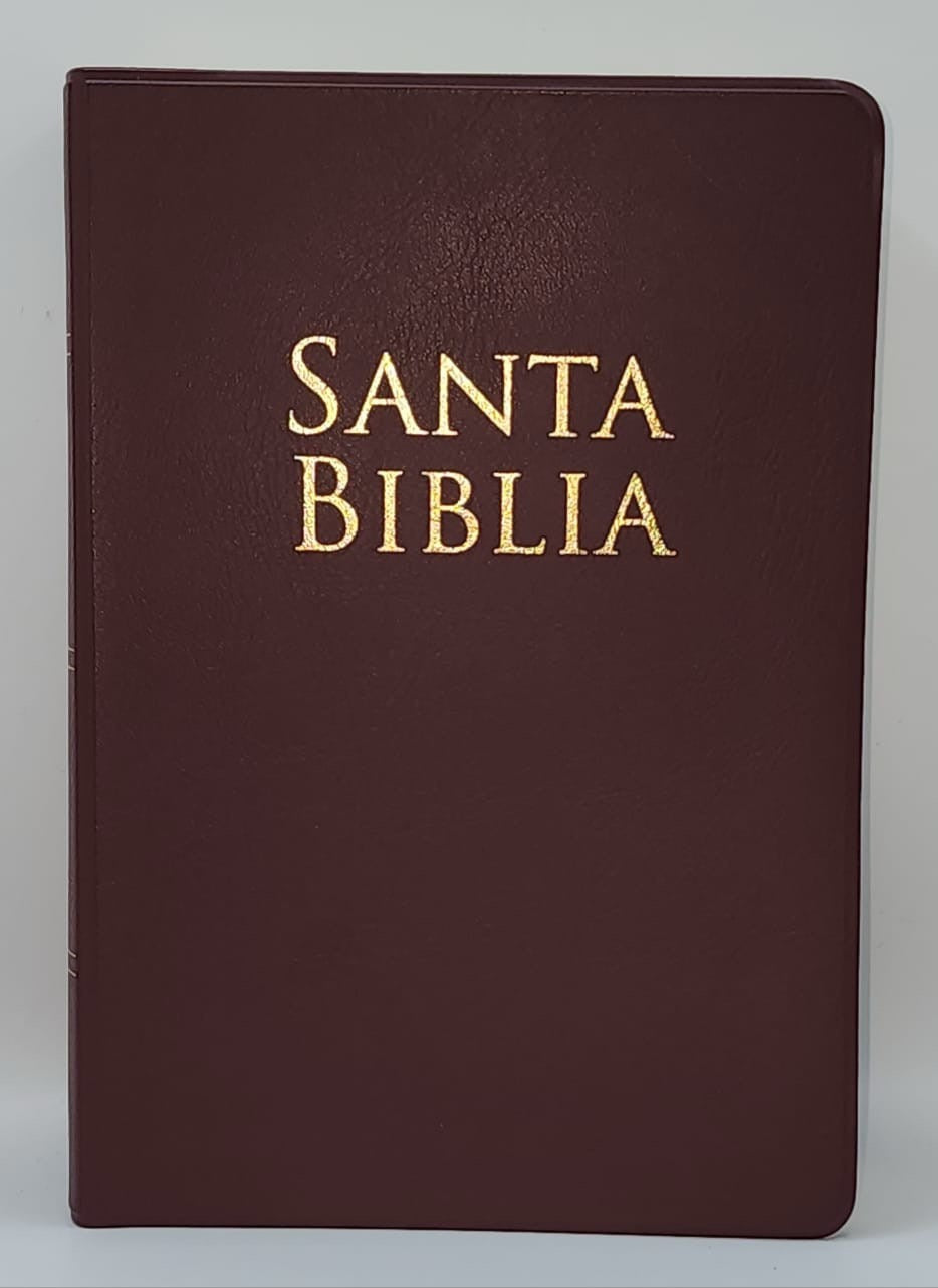 Biblia manual Letra grande Vinilo Rojizo