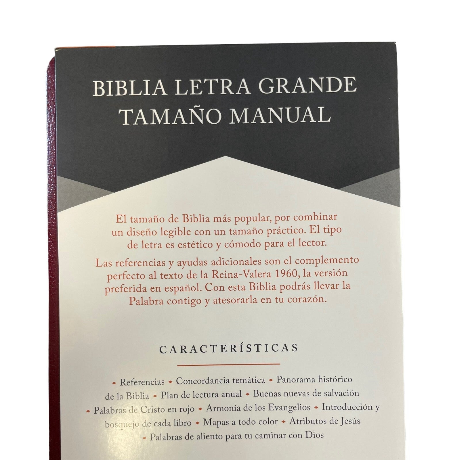 Biblia RVR 1960 Letra Grande Tamaño Manual marrón