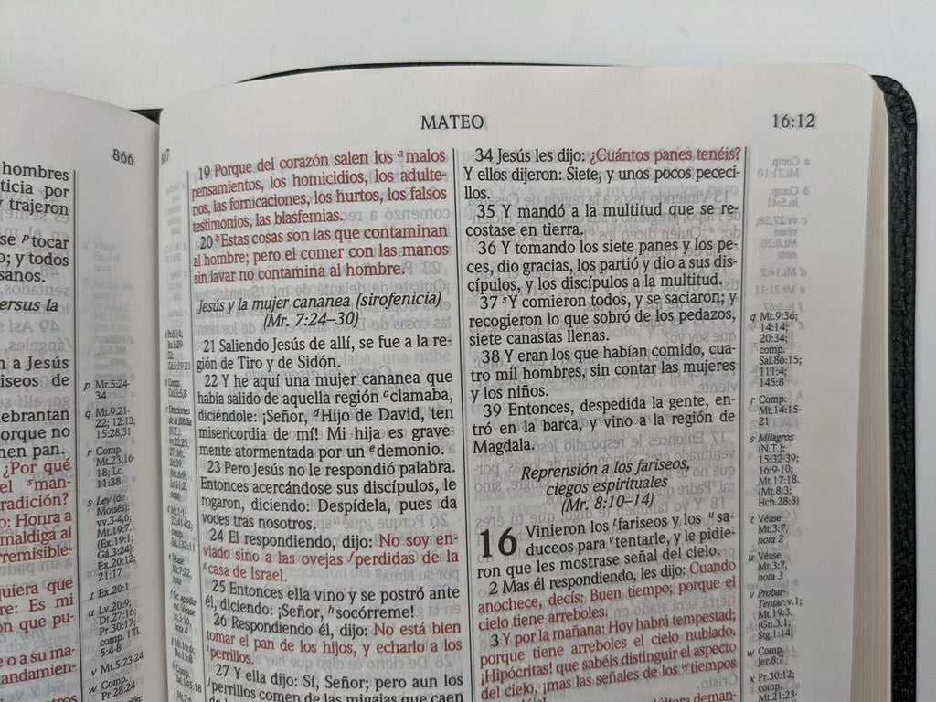Biblia RVR 1960 de Estudio Scofield Negro Piel Fabricada