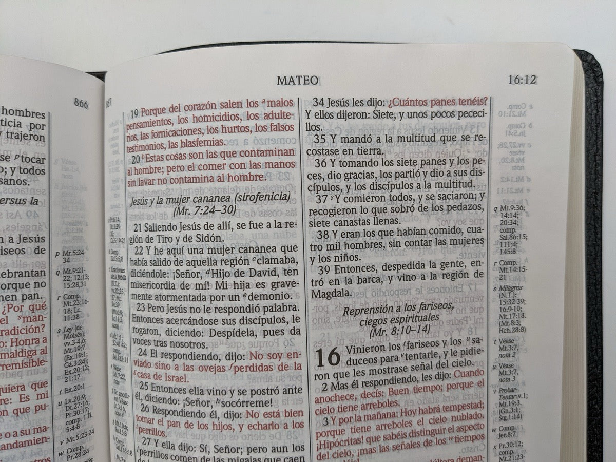 Biblia RVR 1960 de Estudio Scofield Negro Piel Fabricada