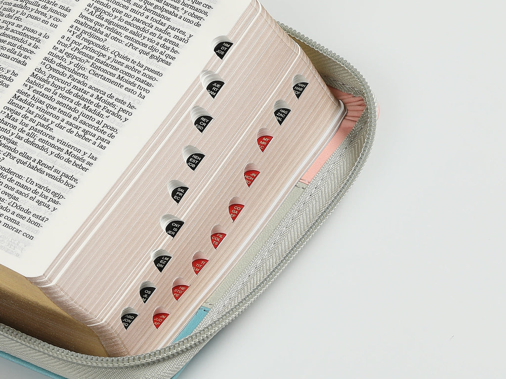 Biblia RVR60 Bolsillo i/piel Tricolor Rosa
