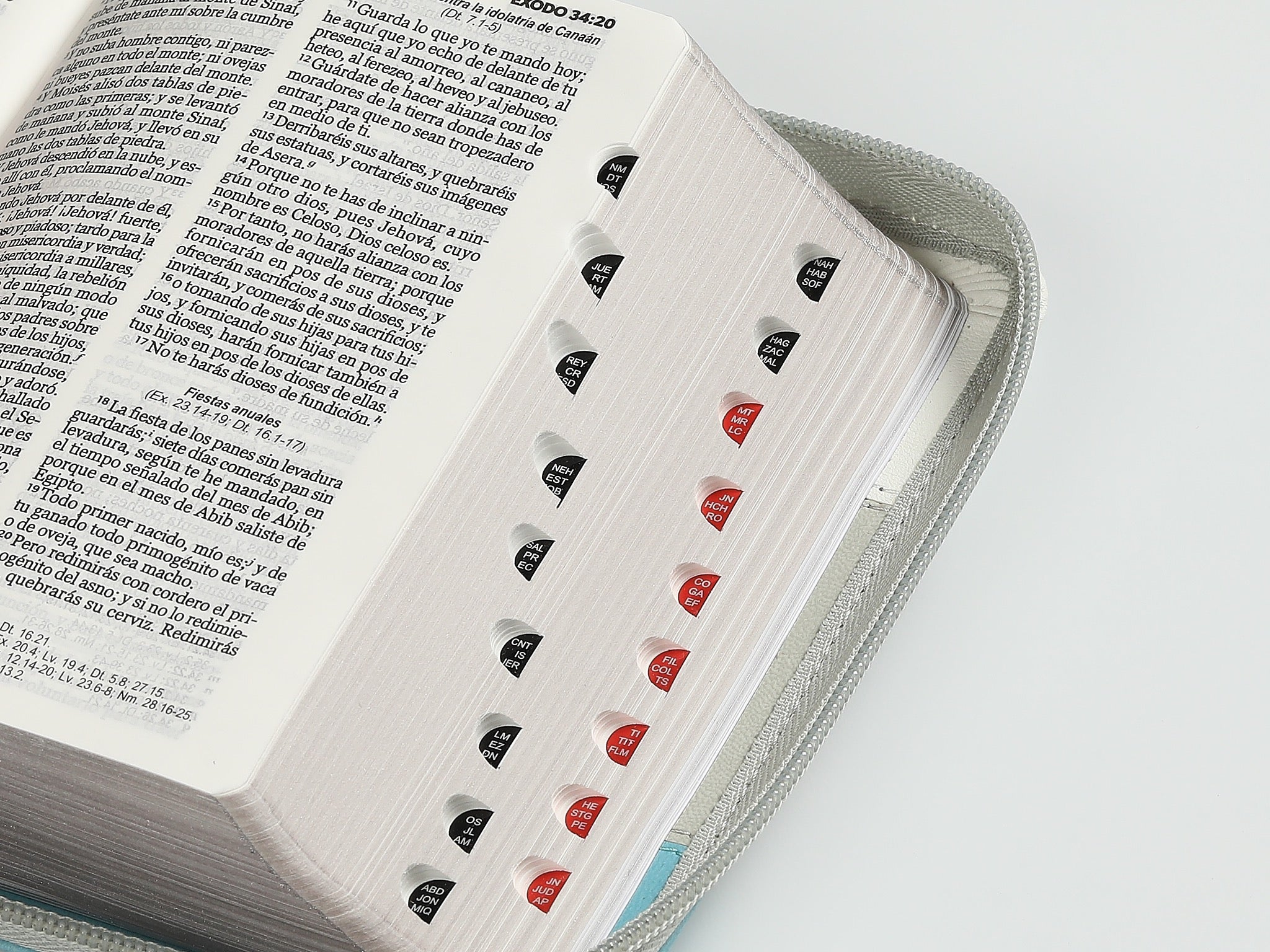 Biblia RVR60 Bolsillo i/piel Tricolor Blanco