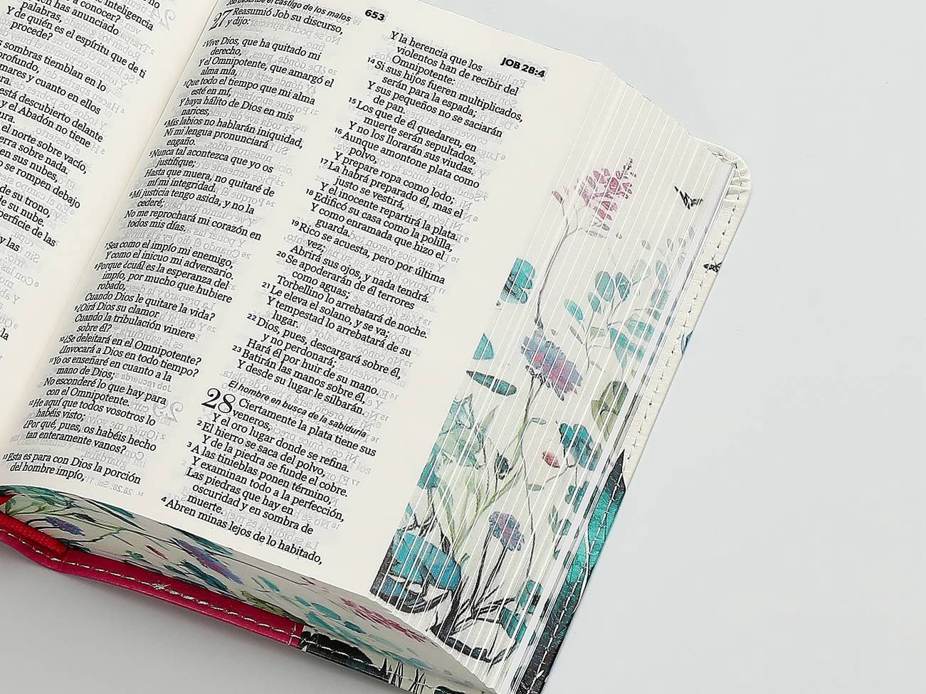 Biblia RVR60 bolsillo fucsia