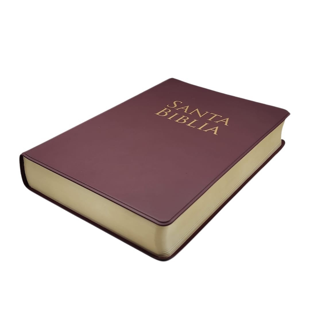Biblia manual Letra grande Vinilo Rojizo