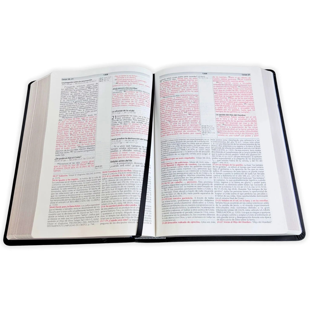 Biblia de Estudio de la Vida Plena RV1960, imit piel negro